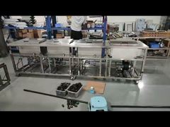 বৃহৎ অতিস্বনক ক্লিনিং মেশিন